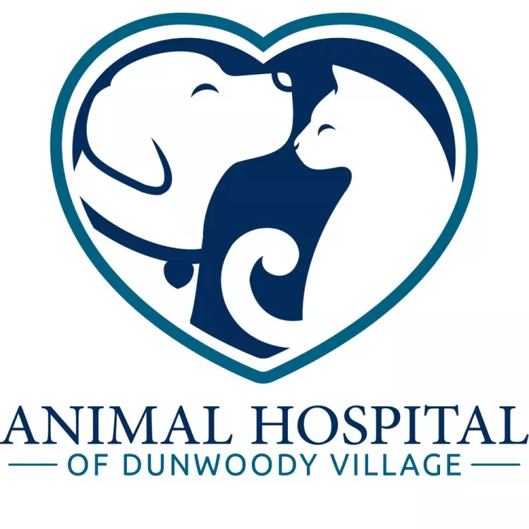 Animal Hospital of Dunwoody Village, Georgia, Atlanta